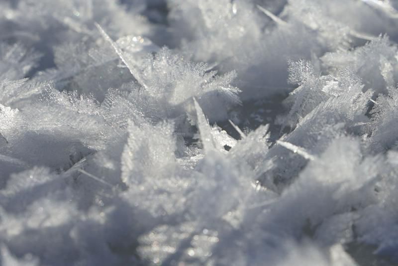 Отчет от 09.02.2017