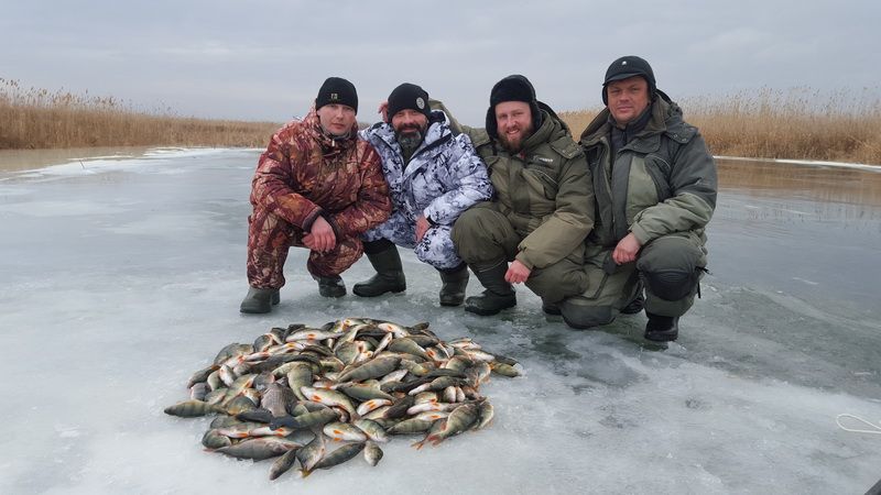 Спасибо  за радушный прием 03.02-08.02.2017
