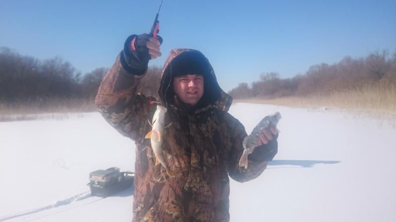 Отчет от Дениса (denwer), 15.02.2017