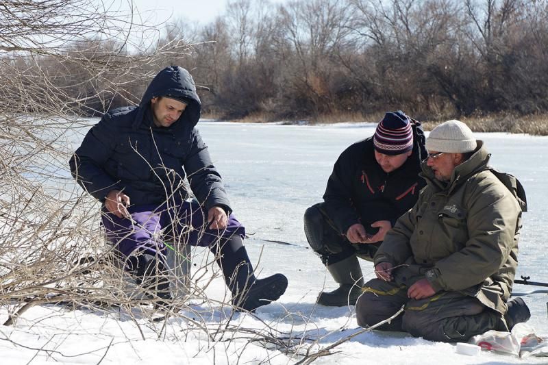 отчет от 02.03.2017