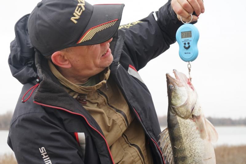 Отчет от 19.03.2017