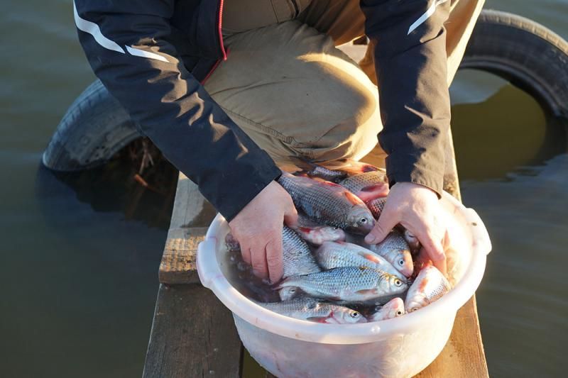 отчет от 31.03.2917