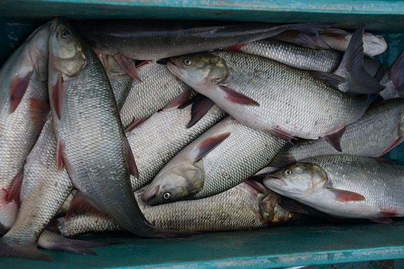 Отчет от 09.04.2017