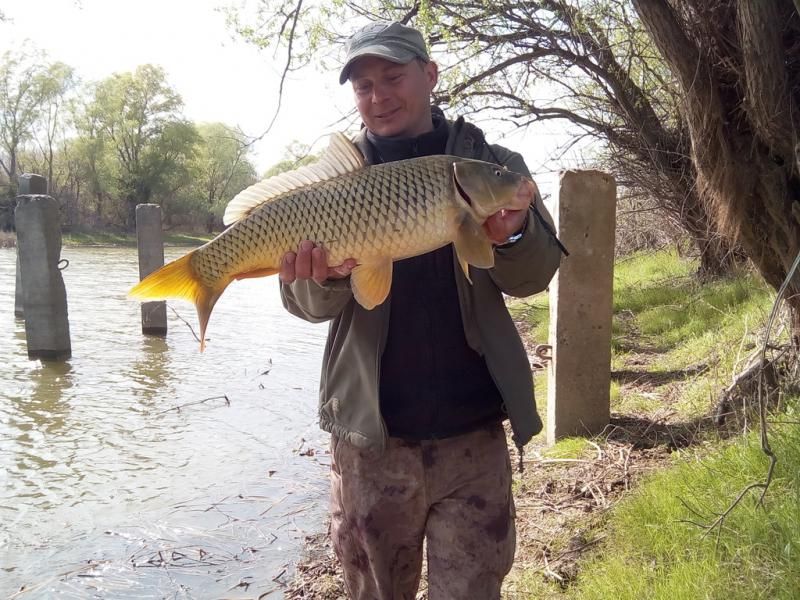 Отчет от 21.04.2017