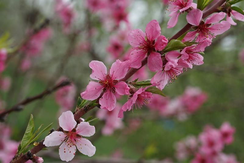 Отчет от 27.04.2017