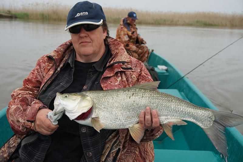 Отчет от 08.05.2017