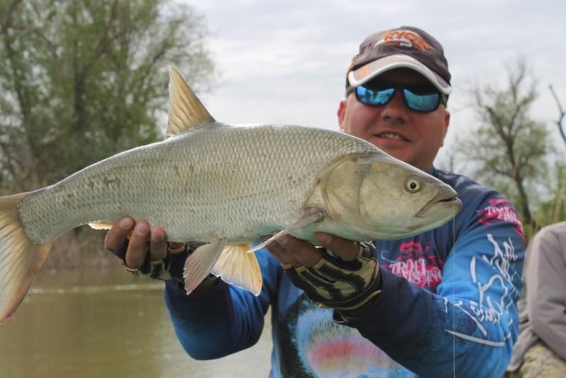 Отчет от Andrei, 08.05.2017