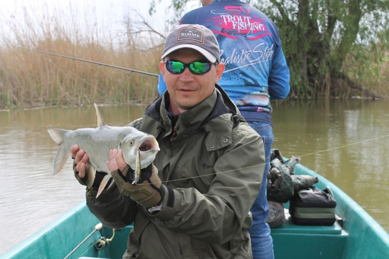 Отчет от RSM 36, 08.05.2017