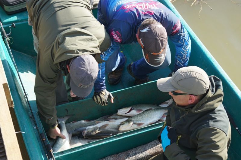 Отчет от RSM 36, май 2017