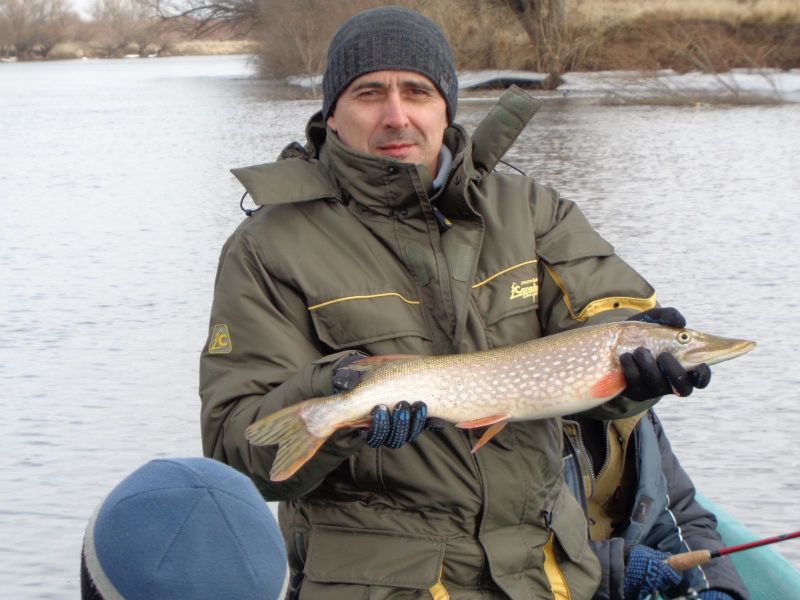 Сегодня не густо!!!!