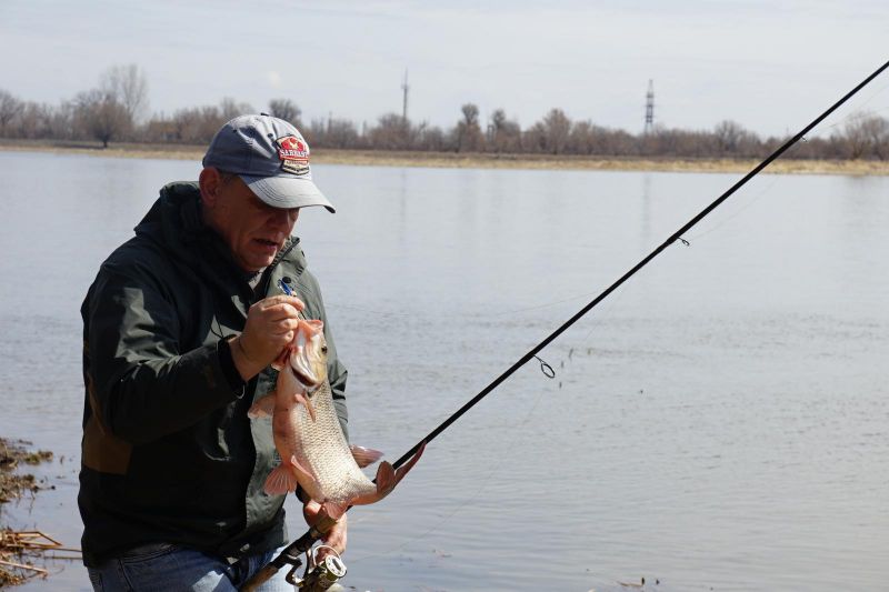 Жерех или Язь?