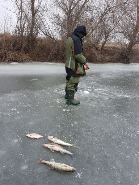 Вечернего выхода не было.