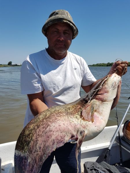 У квочников дела повеселее