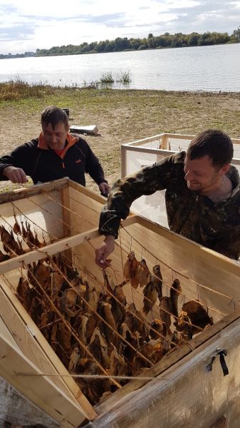 Итоги сентября