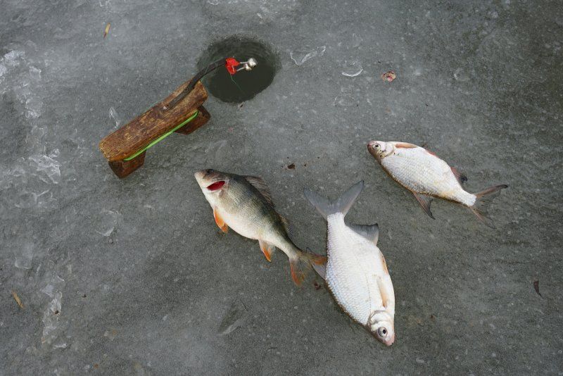 По льду стабильно!