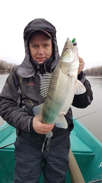 А как все радужно начиналось!