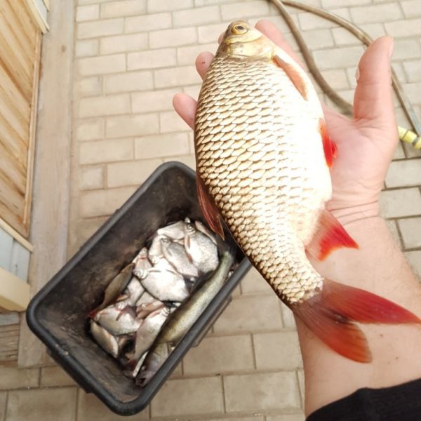 Глоток позитива